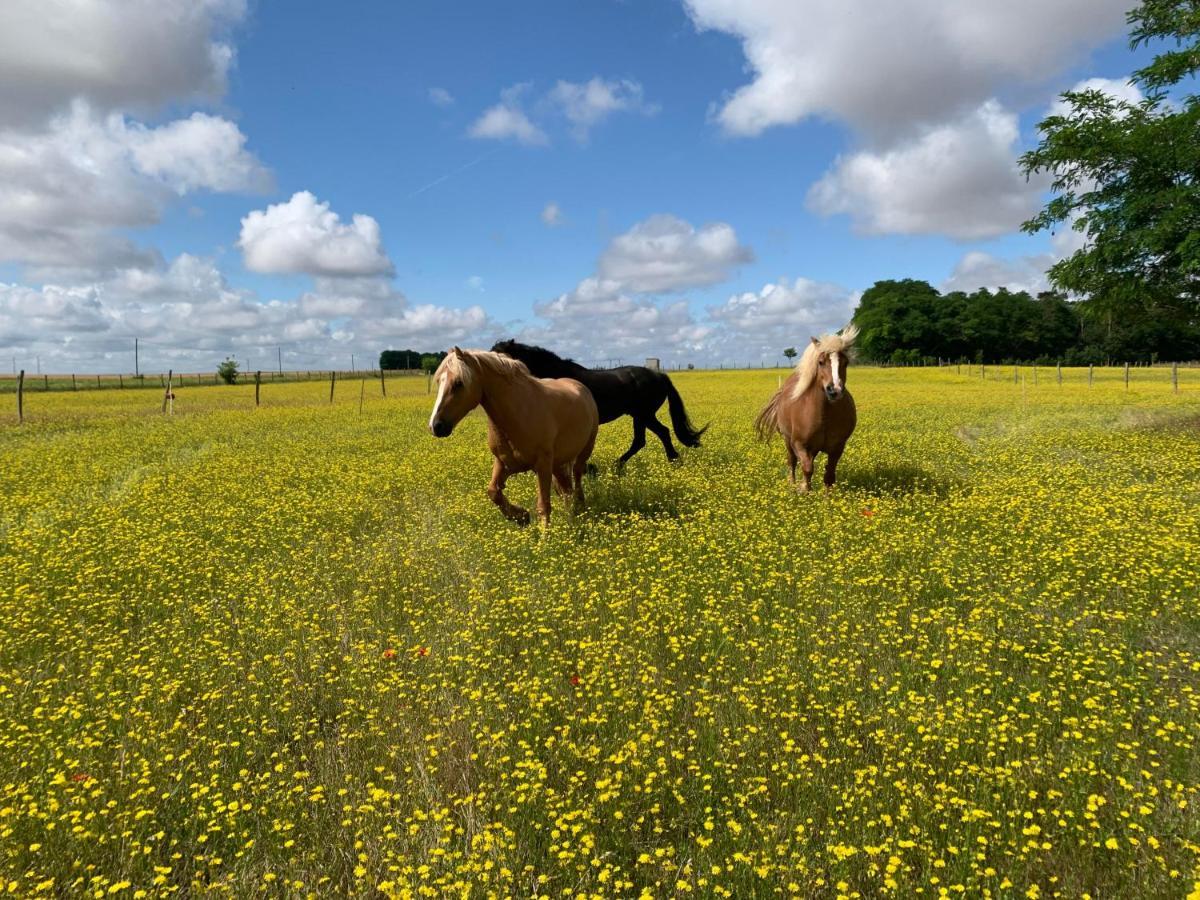 Mobilhome Sous Chalet En Bois A La Ferme Josnes Eksteriør billede